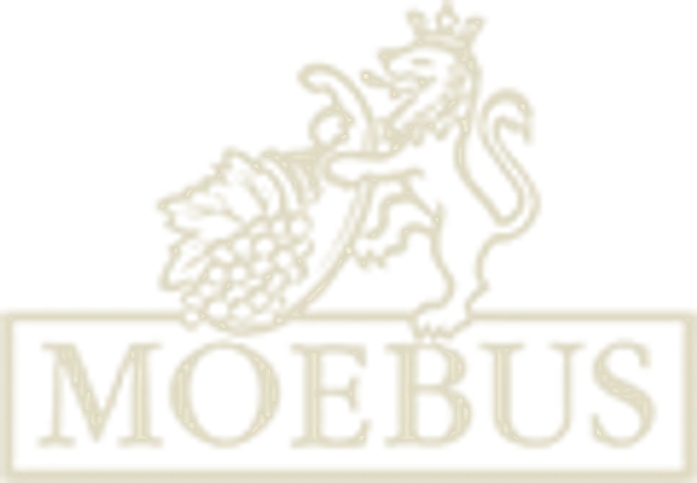 Webseite Weingut Moebus